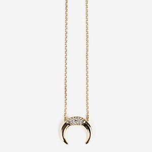 Horn Charm Necklace ✨